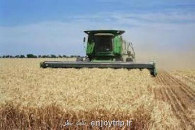 1 و یك دهم میلیون تن گندم از كشاورزان خریداری شد