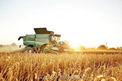 بیش از ۶ هزار تن گندم در آذربایجان شرقی خریداری شد
