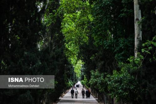 باغ های تاریخی در لایه های ناپیدای شیراز را دریابیم