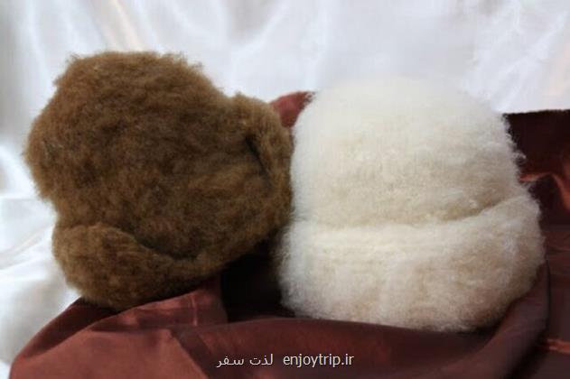 کلاه پشمی در خطر فراموشی