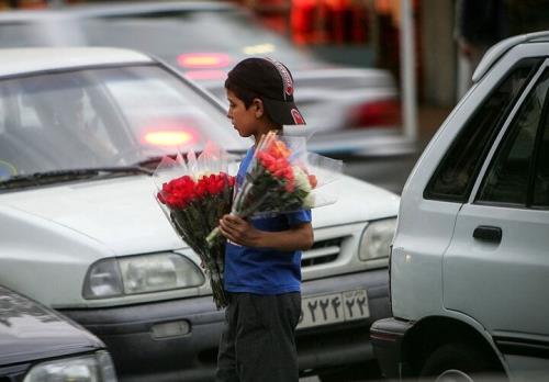 215 کودک کار در استان سمنان ساماندهی شدند