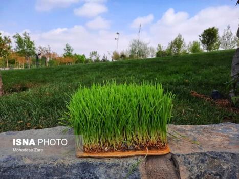 ۶۴ هزار هکتار فضای سبز و بوستان میزبان شهروندان تهرانی در روز طبیعت