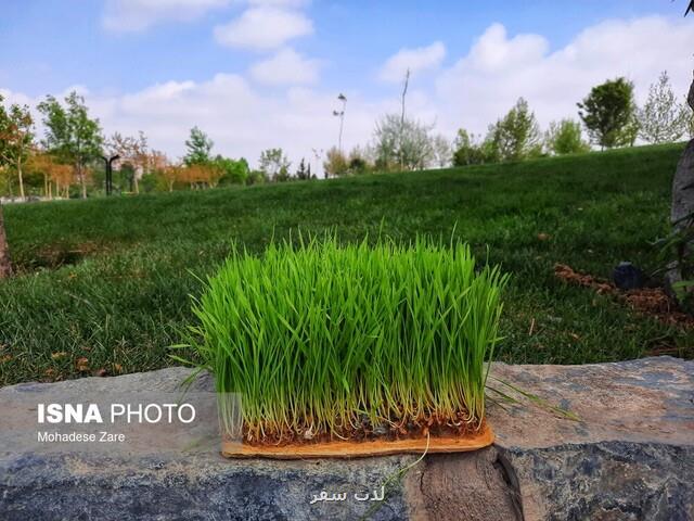 ۶۴ هزار هکتار فضای سبز و بوستان میزبان شهروندان تهرانی در روز طبیعت