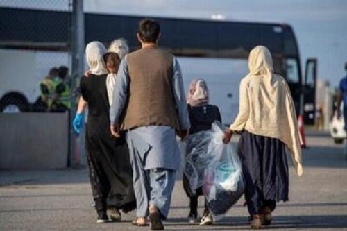 خروج بالاتر از 1 و هشت دهم میلیون تبعه بدون مجوز در دولت چهاردهم