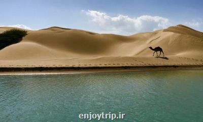 جفا به سیستان و بلوچستان باید با ساخت فیلمهای جذاب جبران شود