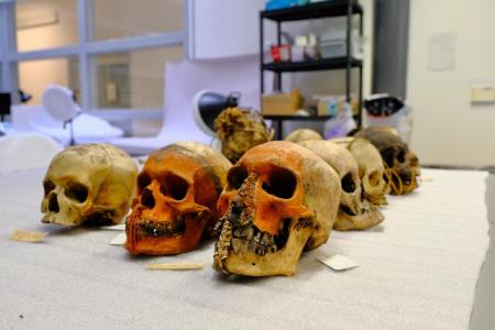 حذف نمایش بقایای انسانی در یك موزه
