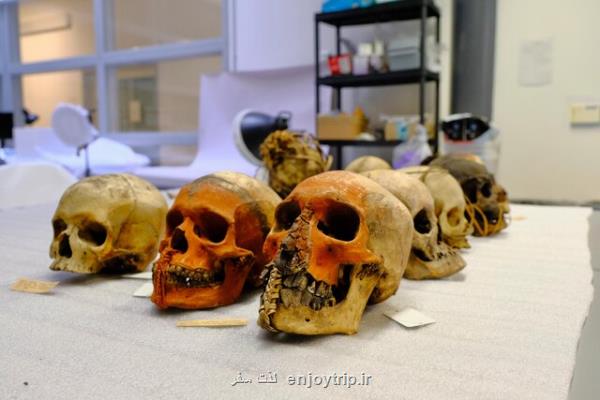 حذف نمایش بقایای انسانی در یك موزه
